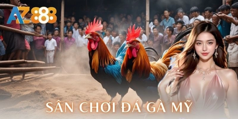 Sân chơi đá gà Mỹ - Trải nghiệm cược đỉnh cao kịch trần 2 Luật pháp và an toàn khi tham gia